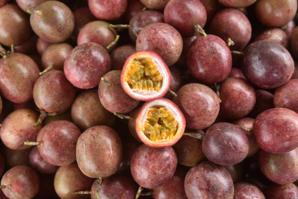 Purple Passion fruit